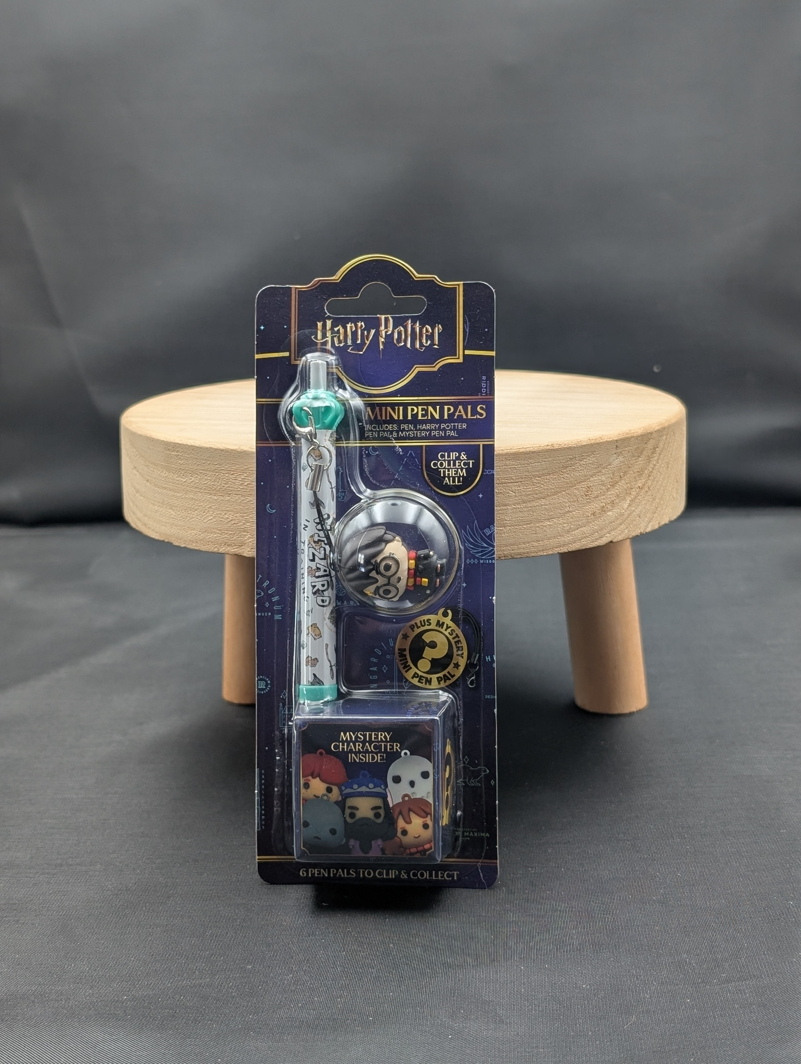 Stylo Harry Potter Mini Pen Pals + Figurine Mystère Officiel Wizarding World