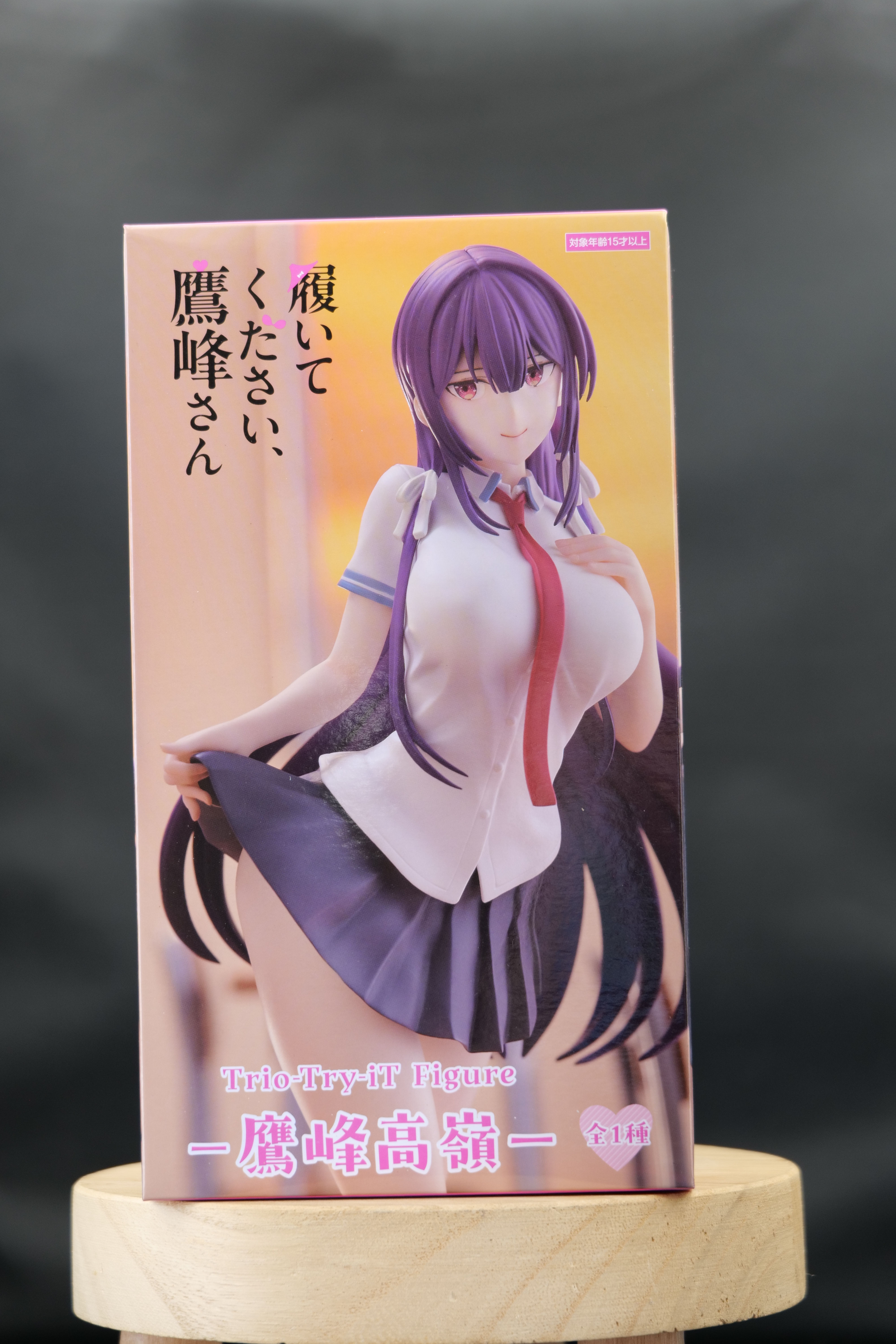 Figurine Takane Takamine - Please Put Them On, Takamine-san - Trio-Try-iT Furyu