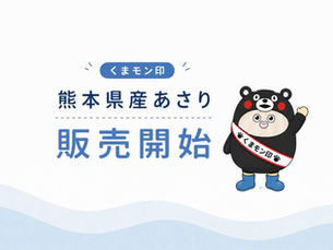 熊本県産あさり販売
