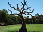 DSCF3056.JPG