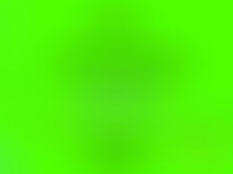 Golden Sliff Award for Best Documentary goes to Interpreting Erik !!!