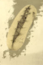 tube 66