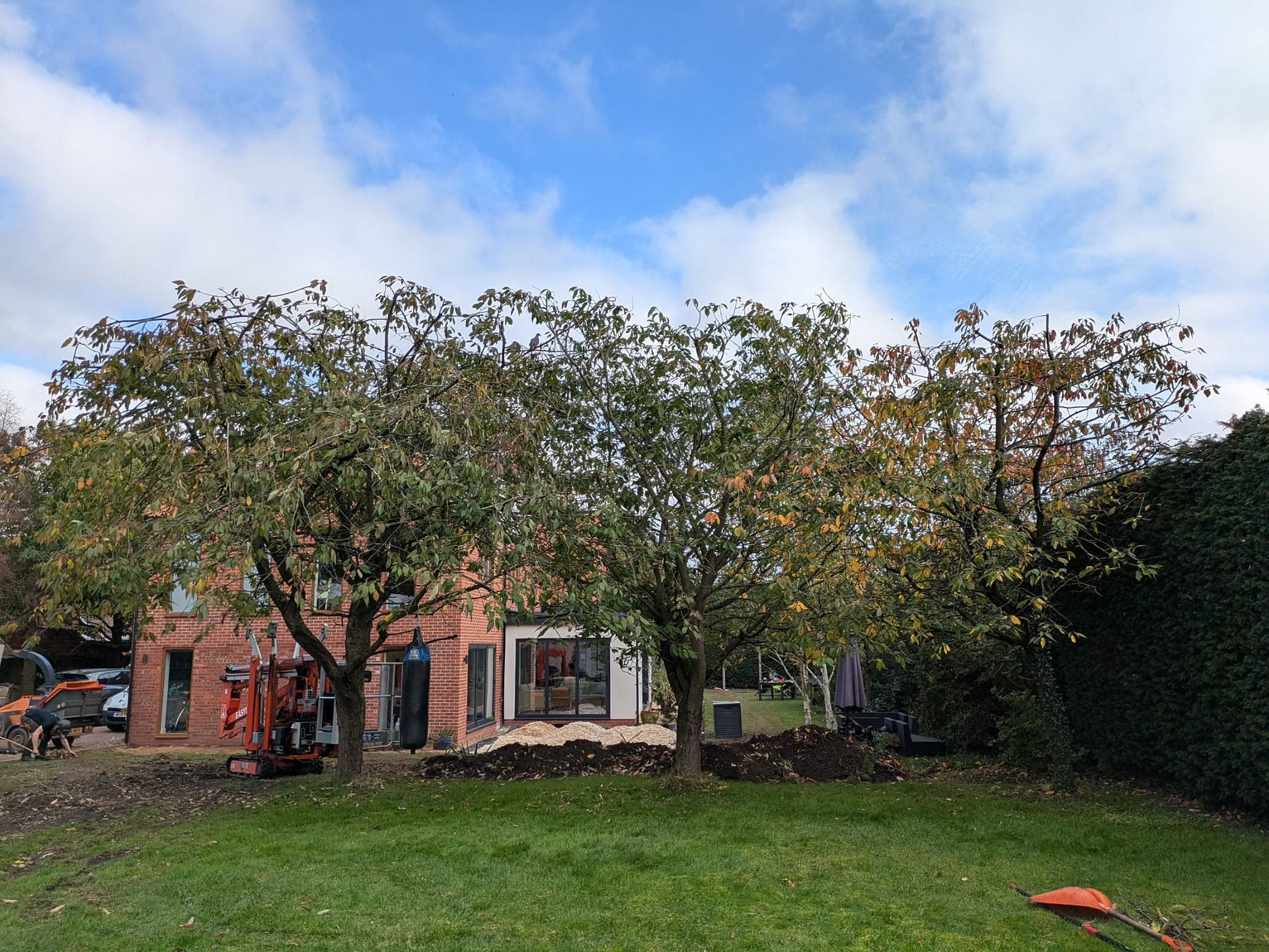 Domestic tree work Lincolnshire