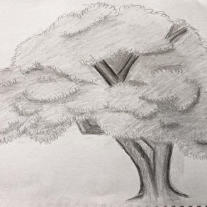 DRF tree