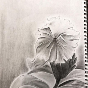 DRF flower