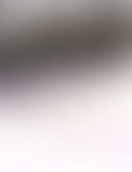 Sunrise through the trees