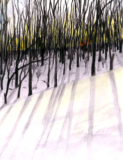 Sunrise through the trees