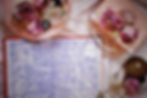 Young Adult book Enchantee by Gita Trelease Bastille Day historical romance