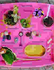 Mini Fairy garden DIY items needed moss, plants, blooms, tin, stones,