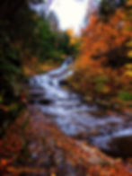 Waterfall during autumn with colorful leaves guy sitting by