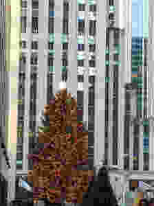 The-Christmas-Tree-in-Rockefeller-Center