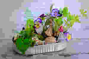 Mini Fairy Garden DIY with morning glory, shell, key, fern, Ariel and pansies