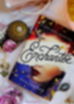 Enchantée by Gita Trelease young adult book romance Bastille Day