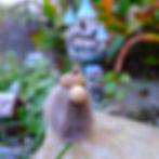 gnome