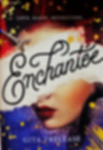 Enchantée by Gita Trelease young adult romance Bastille Day!