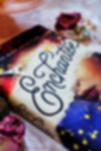 Enchantée by Gita Trelease young adult book with roses & French inspired