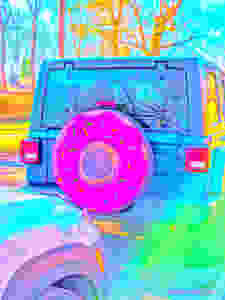 back of Jeep with frosted donut tire cover