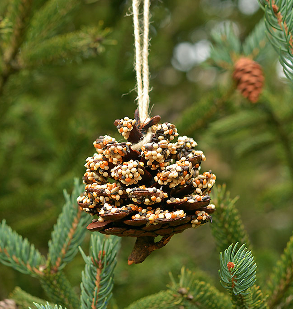 Pine cone bird feeder 25 winter activities for kids