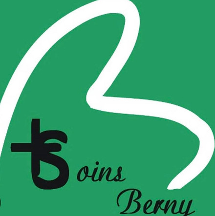 logo soins berny.jpg