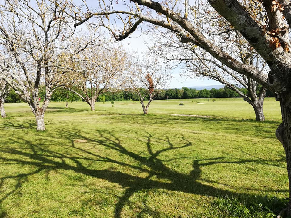 Compétition de classement