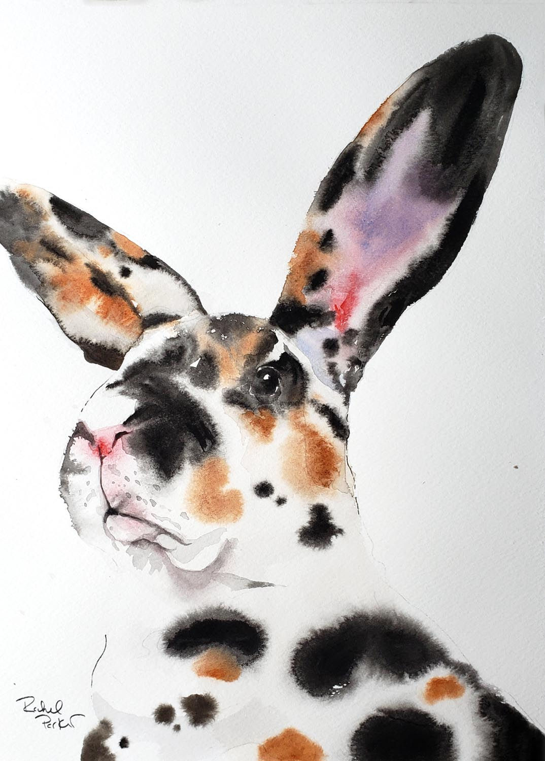 Wet on Wet Calico Bunny Watercolor Tutorial