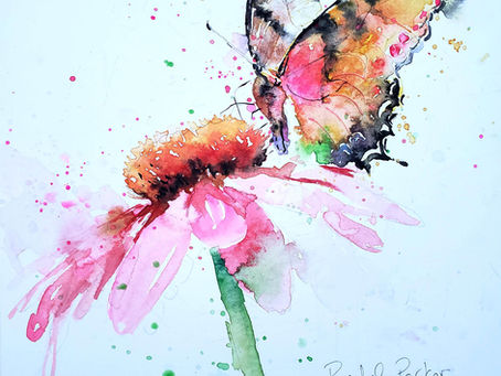 Butterfly and Cone Flower Loose Watercolor Tutorial - $8+
