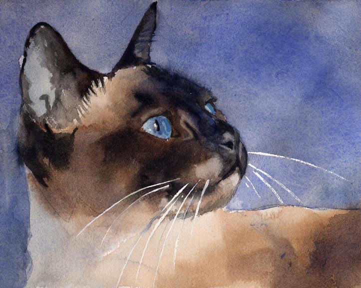 "Rick's Applehead" Siamese Cat Giclée