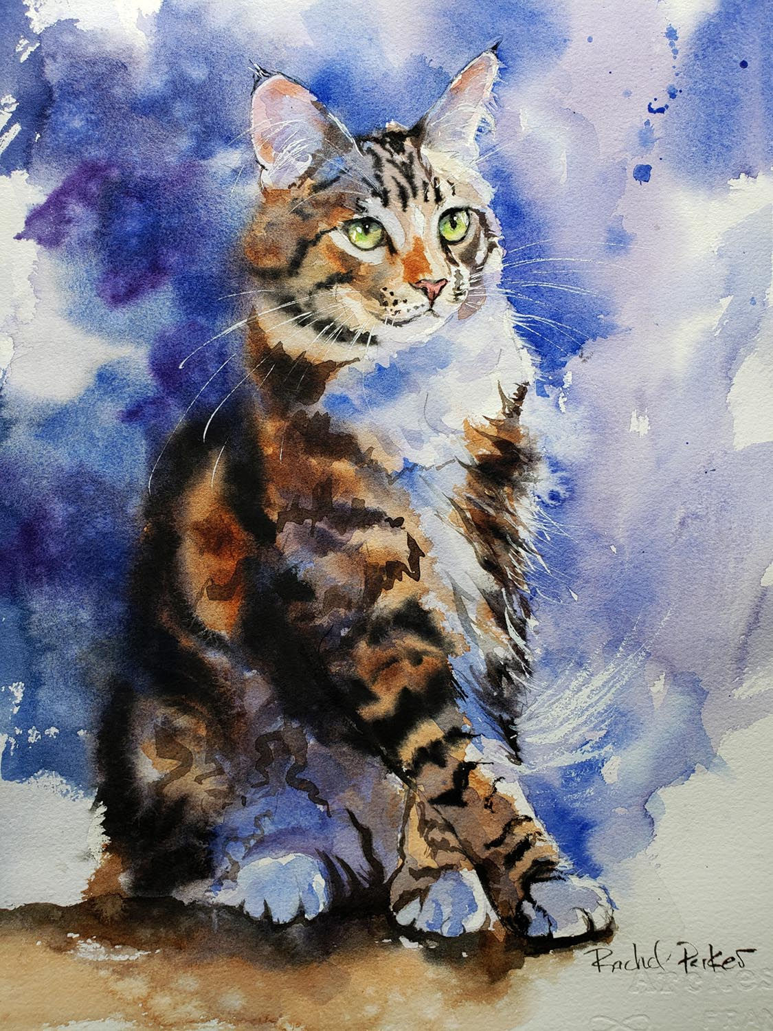 Maine Coon Cat on Cold Press Watercolor Tutorial