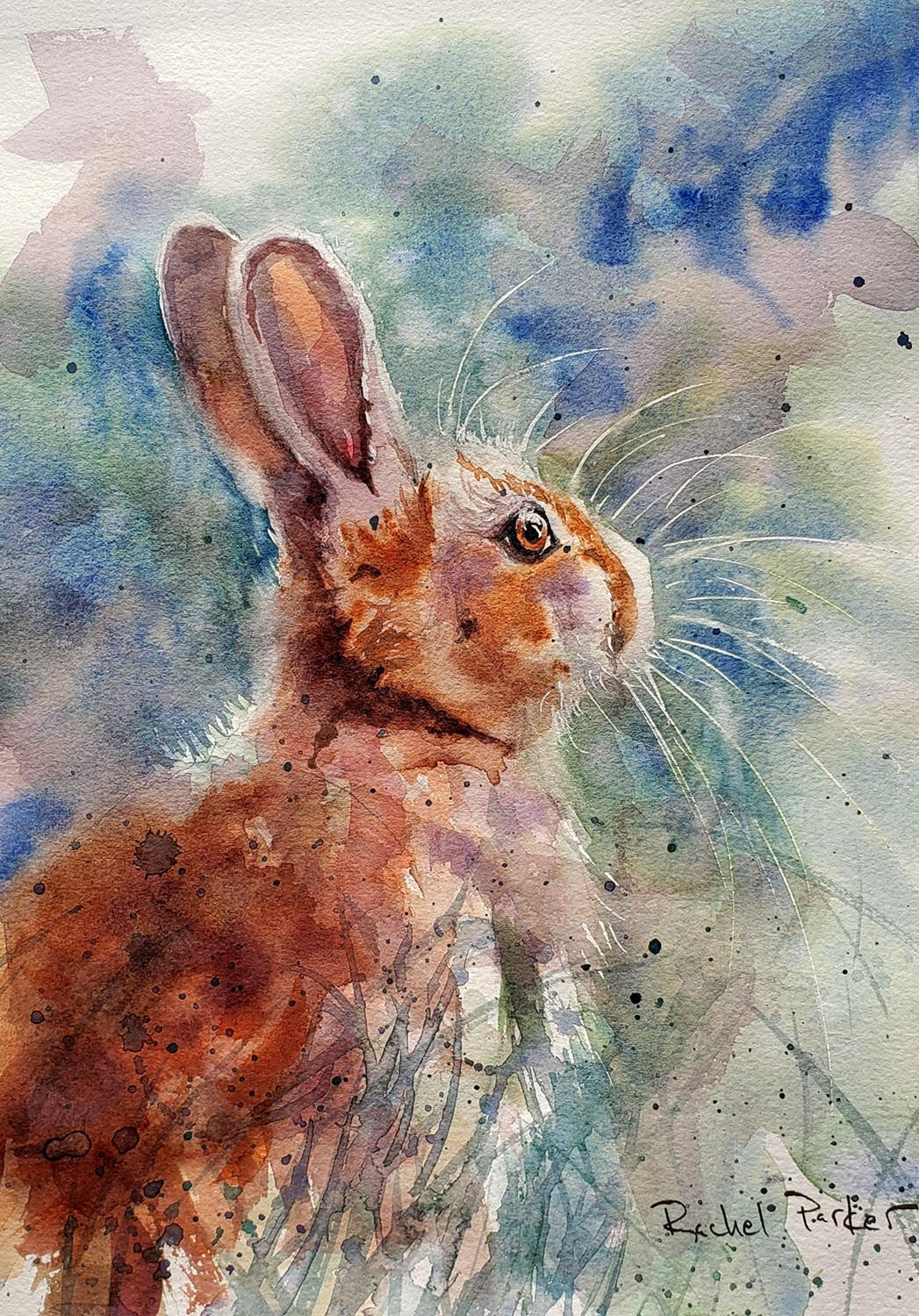 "Tolga's Bunny" Watercolor Tutorial