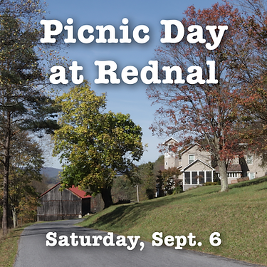 Rednal Picnic 2025 website landing page ad.png