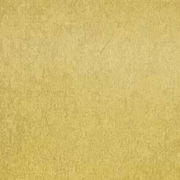 KOL Wheat
