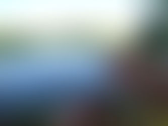 FEEDER VISSEN TOT DONKER +TIPS