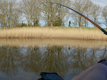 FEEDER VISSEN op ZEELT en BRASEM