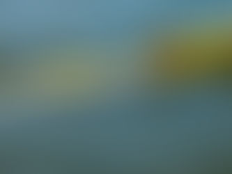 VETTE MEERVAL in de BELLYBOAT - tips en uitleg