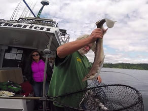 HAAI en BOT vangen in SEATTLE