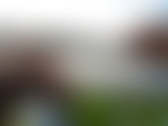 FEEDER VISSEN met EIEREN