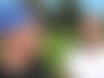 MEGA VEEL KARPER in Belgie