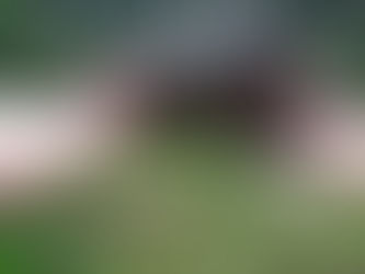 OLDSCHOOL vissen met de WINKLEPICKER