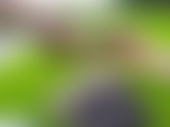 Met de FEEDER op ZEELT VISSEN in het DORP