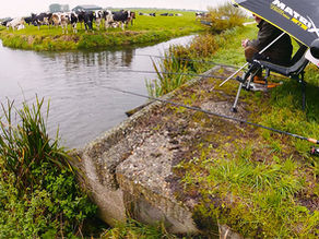 POLDER SNOEKEN met DOODAAS onder de DOBBER