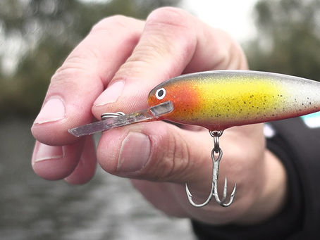 TIPS voor het ROOFVISSEN of SNOEK en MEER