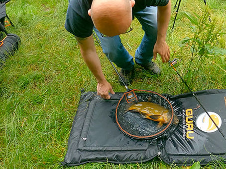 ZEELT trekken en VOER TIPS voor het FEEDER VISSEN
