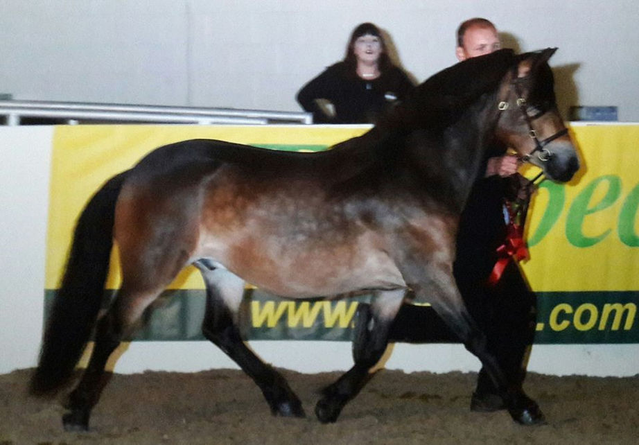 Remi shines at Equifest