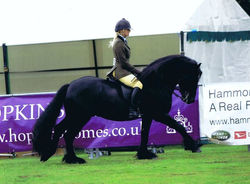 76231_451038452025_5613069_n_edited