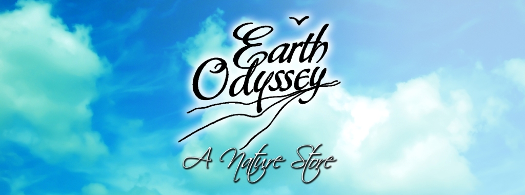 Earth Odyssey logo