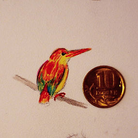 28154053_196038091152082_645914092491925