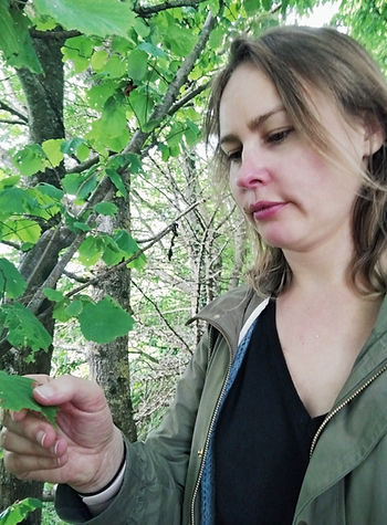 Maud Desmots herboriste