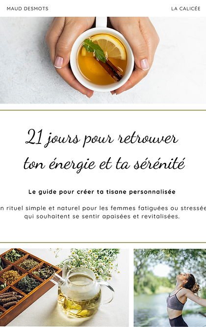 Ebook 21 jours pour retrouver ton énergie et ta sérénité au naturel