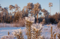 7206aabf7621223101fb0215ff8f31f2