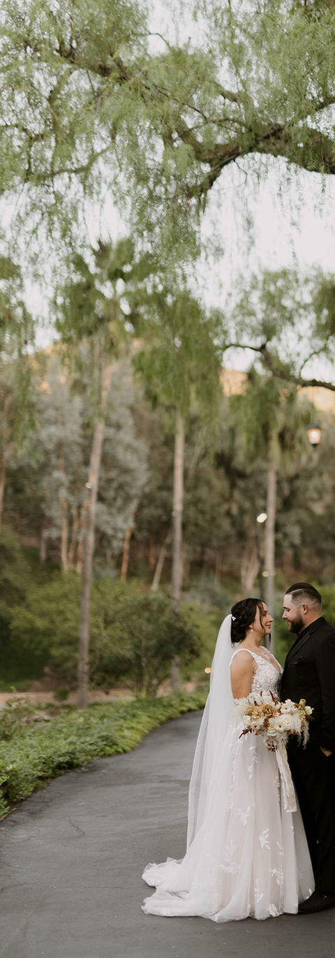 Taylor + Chris | Los Willows
